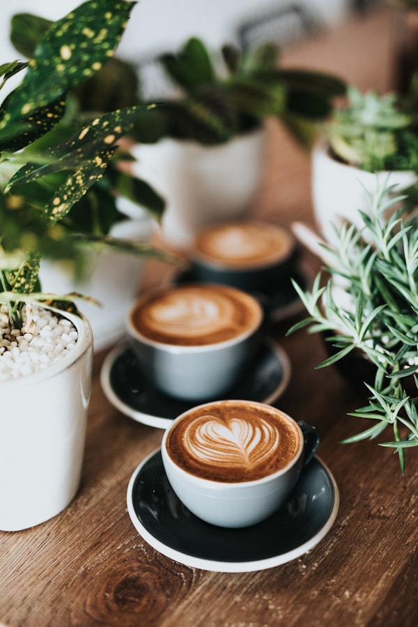 Latte Art zwischen Pflanzen