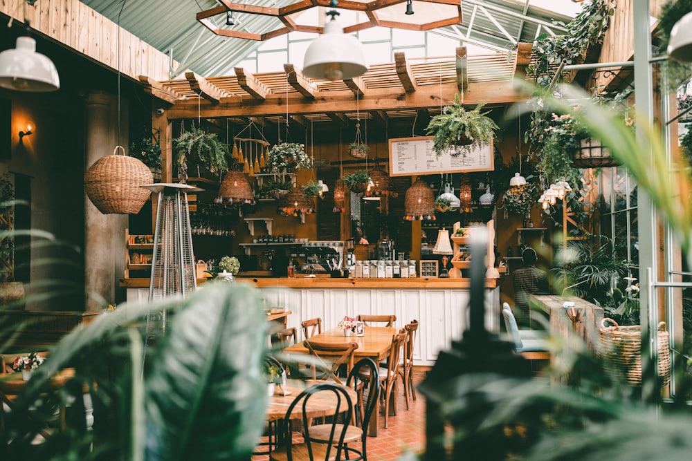 Gemütliches Café-Interieur mit Pflanzen